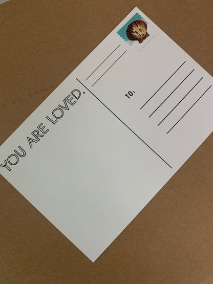 You’re Loved Heart Postcard Set